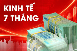 Ấn tượng 'bức tranh' kinh tế Việt Nam vừa công bố