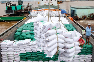 Thị trường mua gần một nửa gạo Việt ra quyết định bất ngờ, doanh nghiệp xuất khẩu hưởng lợi