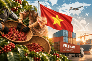 Chỉ đứng sau Brazil, Việt Nam nắm 'quyền lực' số 2 thế giới với mặt hàng tỷ USD, chiếm 20% xuất khẩu toàn cầu
