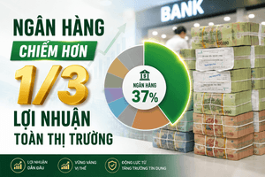 Ngành ngân hàng chiếm 1/3 lợi nhuận toàn thị trường chứng khoán