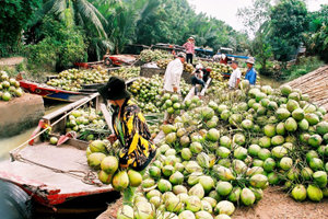 Không phải sầu riêng, loại quả này đang thâu tóm thị trường Trung Quốc và Mỹ