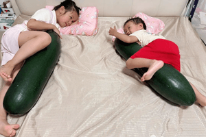 Lời khuyên cho những người biến bí đao thành gối ôm làm mát