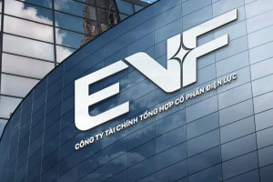 EVF trình cổ đông phương án chào bán tối đa 85 triệu cổ phiếu, nâng vốn điều lệ lên hơn 8.455 tỷ đồng