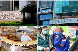 Làn sóng thứ 3 về cổ phần hóa và thoái vốn doanh nghiệp Nhà nước đang quay trở lại