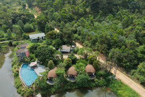 Yêu cầu kiểm tra, xác minh phản ánh villa, homestay mọc trong rừng phòng hộ Sóc Sơn