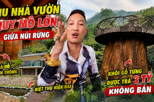 Khu nhà vườn quy mô lớn giữa núi rừng của Huấn Hoa Hồng: Nhà gỗ truyền thống, biệt thự hiện đại cùng khối gỗ từng được trả giá 3 tỷ đồng cũng không bán