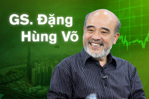 GS. Đặng Hùng Võ: Đã đến lúc người Việt từ bỏ tư duy ‘để dành nhà đất cho con cháu’