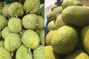 Tin vui bất ngờ từ Trung Quốc dành cho hai loại quả đặc sản của Việt Nam