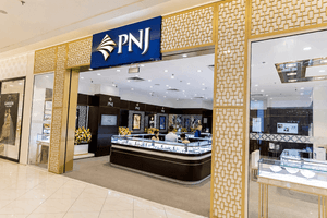 Thanh tra Chính phủ phát hiện PNJ kê khai thiếu thuế, còn lỗ hổng trong phòng chống rửa tiền