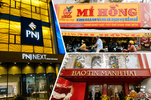 PNJ, Bảo Tín Mạnh Hải, Mi Hồng lên tiếng sau kết luận Thanh tra Chính phủ