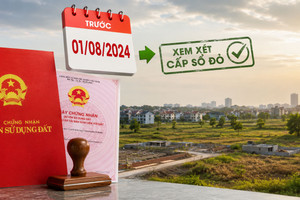 Sửa đổi Luật Đất đai: Đất vi phạm trước 1/8/2024 có thể sẽ được xem xét cấp sổ đỏ