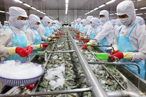 Thủy sản Minh Phú (MPC) báo lãi tăng hơn 127% trong nửa đầu năm