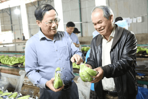Chủ tịch tỉnh Gia Lai đích thân đến thăm cơ ngơi của bầu Đức, lập tức ra chỉ đạo đặc biệt