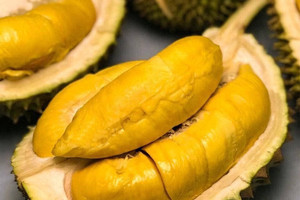 2 thị trường đông dân nhất thế giới cùng 'săn' sầu riêng Việt, một nơi đã chi gần 1 tỷ USD