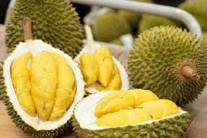 1,07 triệu tấn hàng đổ vào Trung Quốc: Sầu riêng Việt bị một đối thủ thắng áp đảo do đâu?