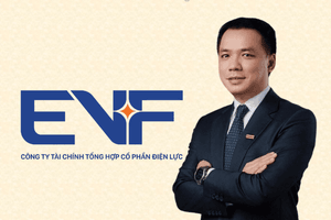 EVF hé lộ nhân sự dự kiến bầu vào HĐQT: Người có 18 năm kinh nghiệm ngành ngân hàng, từng là lãnh đạo tại nhiều doanh nghiệp lớn