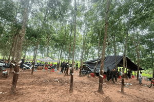 Thu giữ 134 triệu đồng, 5 ô tô, 24 xe mô tô, 40 điện thoại cùng nhiều tang vật giữa rừng cao su
