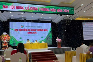 Cổ đông Hóa chất Đức Giang (DGC): Ban Kiểm soát chỉ là cái bóng của Ban quản trị