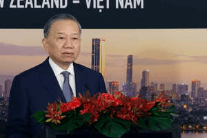 Tổng Bí thư, Chủ tịch nước Tô Lâm dự Hội nghị bàn tròn doanh nghiệp New Zealand - Việt Nam