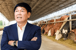 Doanh nghiệp của tỷ phú Trần Đình Long bắt tay Thái Lan, nâng nguồn cung bò thêm 36.000 con
