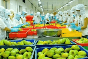 Đơn hàng xuất khẩu bùng nổ, 7 tháng đạt gần 320 tỷ USD