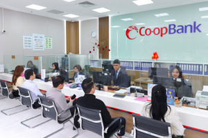 Chính phủ bổ sung 5.000 tỷ đồng từ ngân sách để tăng vốn cho Co-opBank