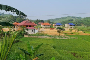 Xây nhà trái phép trên đất nông nghiệp, khi Nhà nước thu hồi đất có được bồi thường?