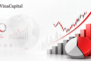 Cổ phiếu doanh nghiệp có chất lượng đã giảm khoảng 40-50%, VinaCapital 'mạnh tay' giải ngân