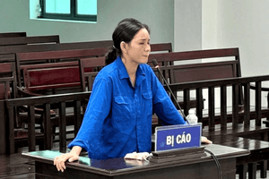 Nữ 'cò đất' Đậu Thị Huyền Trang lĩnh án hơn 12 năm tù