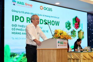 Bầu Đức thừa nhận giá IPO HGI đang ‘đắt nhất’ so với các công ty cùng ngành