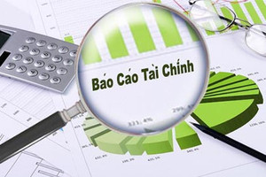 Lợi nhuận bốc hơi 85% sau soát xét, hơn 80% tài sản một doanh nghiệp sàn HoSE bị 'chiếm dụng' bởi công ty của một bác sĩ
