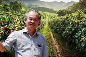 Nhận định giá Arabica có thể gấp đôi Robusta, bầu Đức tính chuyện trồng đủ 20.000ha cà phê ngay trong năm 2027