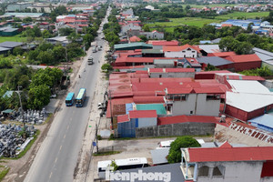Hà Nội: Xử lý hàng loạt vi phạm lấn chiếm đất nông nghiệp, đất công