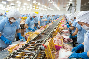 Nam Việt (ANV) đặt mục tiêu lãi trước thuế cao kỷ lục 1.400 tỷ đồng, sau nửa năm mới thực hiện được 29%