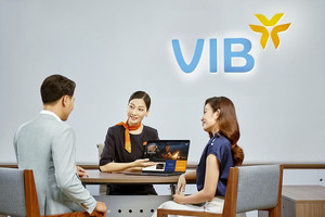 VIB sắp phát hành hơn 323 triệu cổ phiếu, nâng vốn điều lệ lên vượt 37.200 tỷ đồng
