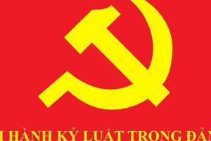 Ban Bí thư thi hành kỷ luật Khai trừ ra khỏi Đảng đối với 3 đảng viên