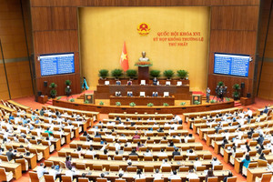 Sửa Luật Đất đai: Bỏ giá đất cụ thể, cách tính bồi thường khi thu hồi đất sẽ thay đổi ra sao?