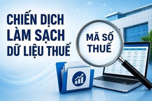 Làm sạch mã số thuế: Xử lý xong hôm nay, làm sao không 'bẩn' trở lại ngày mai?