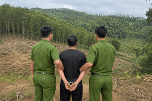 Nguyễn Văn Chung bị bắt do chiêu bán đất rừng ‘nhân bản’
