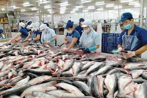 Xuất khẩu thủy sản tháng 7 đạt 1,1 tỷ USD, thị trường lớn hiện ra sao?