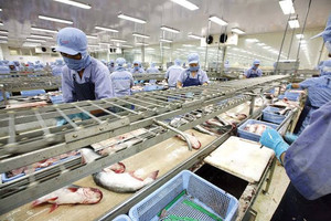 Mỹ siết thuế, đơn hàng Việt vẫn tăng: Doanh nghiệp bắt đầu đón làn sóng khách nhỏ