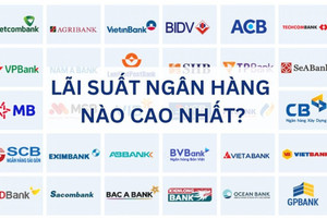 Có 500 triệu đồng tiền nhàn rỗi, gửi tiết kiệm vào đâu để nhận số lãi lớn nhất?