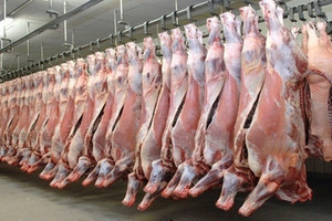 Hơn 100.000 tấn thịt Ấn Độ vào Việt Nam, phần lớn là thịt trâu đông lạnh