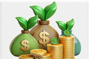 Lãi kỷ lục, một doanh nghiệp bảo hiểm chi 242 tỷ đồng trả cổ tức tỷ lệ 12%