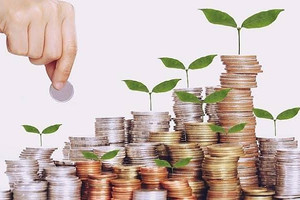 Lãi kỷ lục, một doanh nghiệp bảo hiểm chi 242 tỷ đồng trả cổ tức tỷ lệ 12%