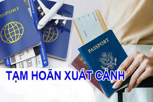 Cơ quan Thuế tạm hoãn xuất cảnh với ông Dương Tuấn Anh và bà Trương Thị Minh Hương