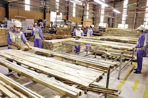 Xuất khẩu gỗ vượt mốc 10 tỷ USD, tăng tốc tại thị trường châu Âu