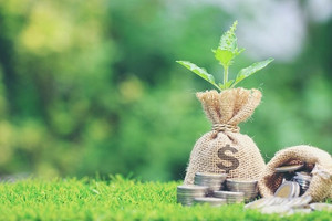 Châu Âu siết 'hàng rào xanh': Doanh nghiệp Việt chậm chuyển đổi có thể mất cả thị trường