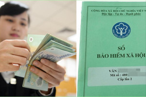 Một doanh nghiệp đang nợ bảo hiểm xã hội 175 tháng