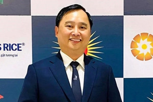 Công ty do ông Đỗ Thành Nhân làm Chủ tịch liên tiếp nhận lệnh cưỡng chế, phong tỏa tài khoản